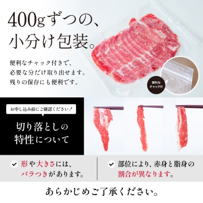 黒毛和牛 赤身 切り落とし 計800g(400g×2P) - 小分け・チャック袋 -【鹿児島県産】