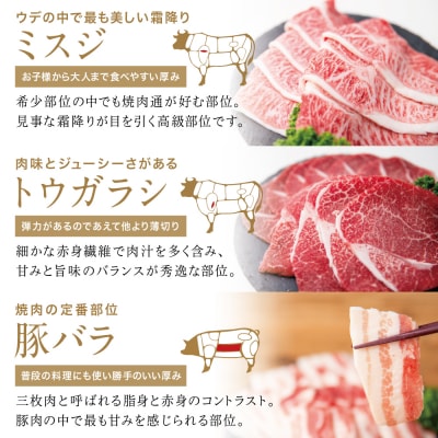 【3種盛り】焼肉用 計800g 黒毛和牛希少部位 ミスジ・トウガラシ&豚バラ(鹿児島県産)