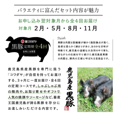 【定期便】コワダヤの黒豚食べ比べ 全4回 (しゃぶしゃぶ・ハム・ソーセージ・焼豚)