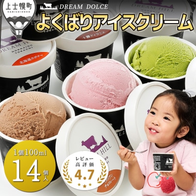 ドリームドルチェ よくばりアイスクリームセット 100ml×14個(14種) 北海道 スイーツ