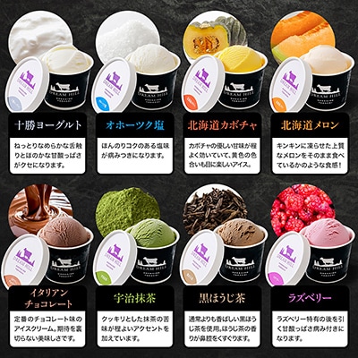 ドリームドルチェ よくばりアイスクリームセット 100ml×14個(14種) 北海道 スイーツ