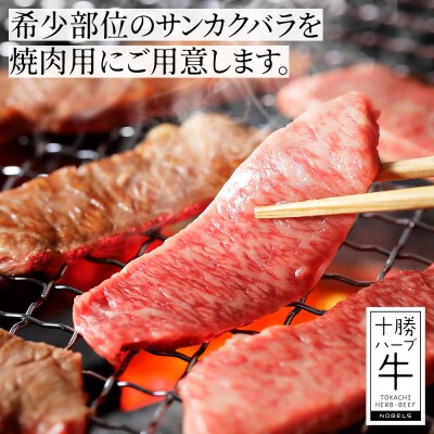 十勝ハーブ牛 特上カルビ 焼肉 500g サンカクバラ 三角バラ 北海道産 牛肉 赤身
