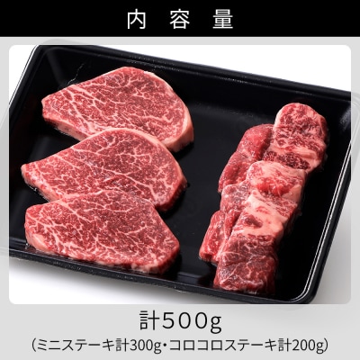 十勝ハーブ牛 ヒレ ステーキ 計500g 北海道産 牛肉 赤身