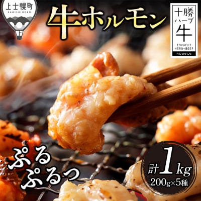 十勝ハーブ牛 国産 ホルモン ミックス 計1kg 味付き 小分け 200g×5種 牛肉 焼肉