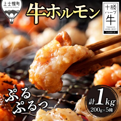 十勝ハーブ牛 国産 ホルモン ミックス 計1kg 味付き 小分け 200g×5種 牛肉 焼肉