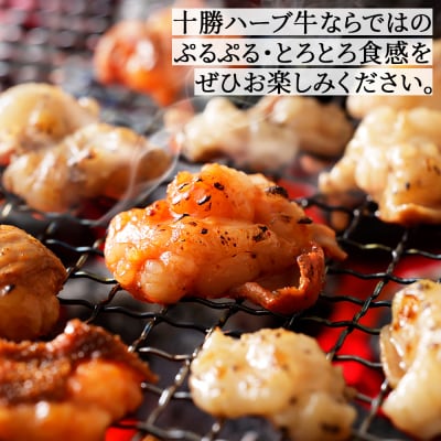 十勝ハーブ牛 国産 ホルモン ミックス 計1kg 味付き 小分け 200g×5種 牛肉 焼肉