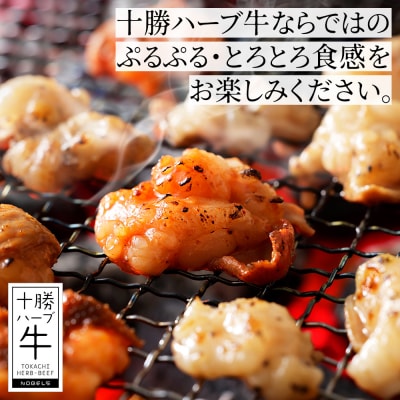 十勝ハーブ牛 国産 ホルモン ミックス 計1kg 味付き 小分け 200g×5種 牛肉 焼肉