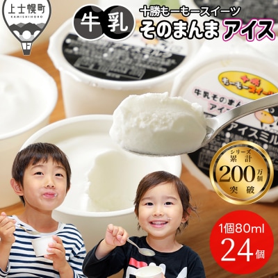 �\�����[���[�X�C�[�c �������̂܂�� �A�C�X 80ml×24�� �k�C�� �A�C�X�~���N ���s�g�p