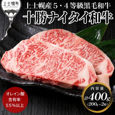 十勝ナイタイ和牛 サーロインステーキ 計400g 北海道産 5・4等級黒毛和牛