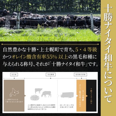 十勝ナイタイ和牛 サーロインステーキ 計400g 北海道産 5・4等級黒毛和牛