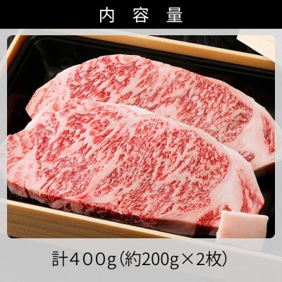 十勝ナイタイ和牛 サーロインステーキ 計400g 北海道産 5・4等級黒毛和牛