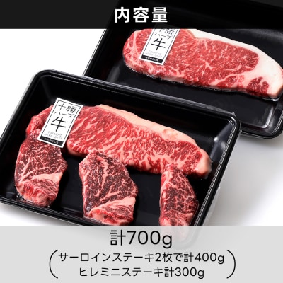 十勝ハーブ牛 サーロイン ヒレ ステーキ セット 計700g 北海道産 牛肉 赤身