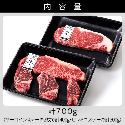 十勝ハーブ牛 サーロイン ヒレ ステーキ セット 計700g 北海道産 牛肉 赤身