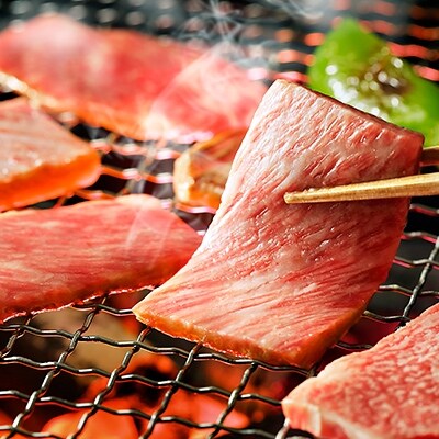 十勝ナイタイ和牛　肩ロース焼肉<500g>
