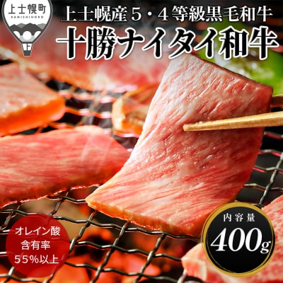 十勝ナイタイ和牛 肩ロース焼肉 400g 北海道産 5・4等級黒毛和牛