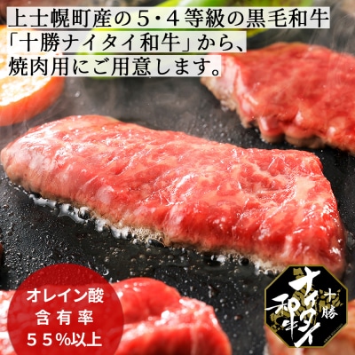 十勝ナイタイ和牛 モモ焼肉とハンバーグセット 計540g 北海道産 5・4等級黒毛和牛
