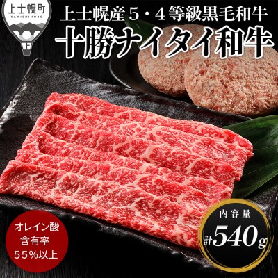十勝ナイタイ和牛 モモスライスとハンバーグセット 計540g 北海道産 5・4等級黒毛和牛