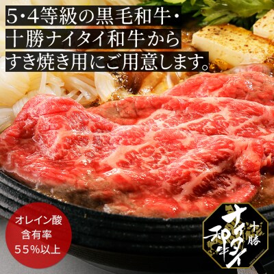 十勝ナイタイ和牛 モモスライスとハンバーグセット 計540g 北海道産 5・4等級黒毛和牛