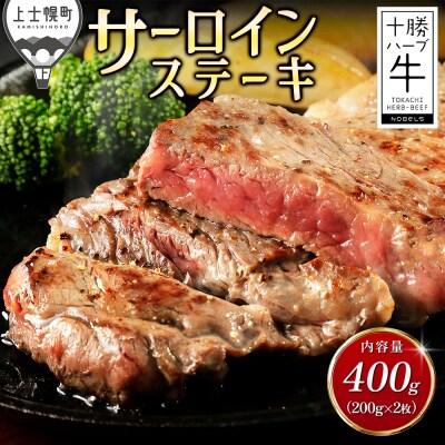 �\���n�[�u�� �T�[���C�� �X�e�[�L �v400g(200g×2��) �k�C���Y ���� �Ԑg