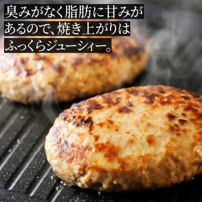 十勝しんむら牧場 放牧豚のハンバーグ 150g×10個 北海道産 冷凍