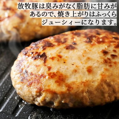 十勝しんむら牧場 放牧豚のソーセージとハンバーグセット 計1380g 北海道産 冷凍