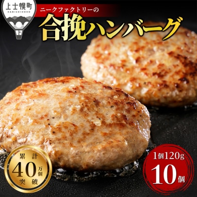 �\���i�C�^�C�a�� �r�[�t&�|�[�N �n���o�[�O 120g×10�� �k�C���Y �a�����g�p