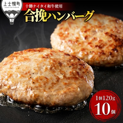 十勝ナイタイ和牛 ビーフ&ポークハンバーグ 120g×10個 北海道産 和牛肉使用