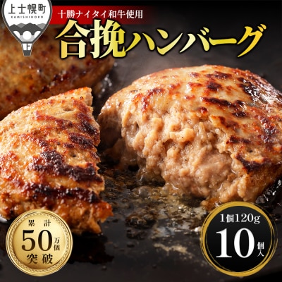 十勝ナイタイ和牛 ビーフ&ポーク ハンバーグ 120g×10個 北海道産 和牛肉使用