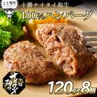十勝ナイタイ和牛 100%ハンバーグ 120g×8個 北海道産 和牛肉使用