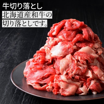 ニークファクトリーの牛・豚・ハンバーグ2種のファミリーセット 約2.4kg 北海道産 詰め合わせ