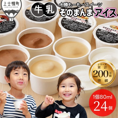 �\�����[���[�X�C�[�c �������̂܂�� �A�C�X 3��Z�b�g 80ml×24�� �k�C�� �A�C�X�~���N