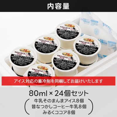 十勝もーもースイーツ 牛乳そのまんま アイス 3種セット 80ml×24個 北海道 アイスミルク