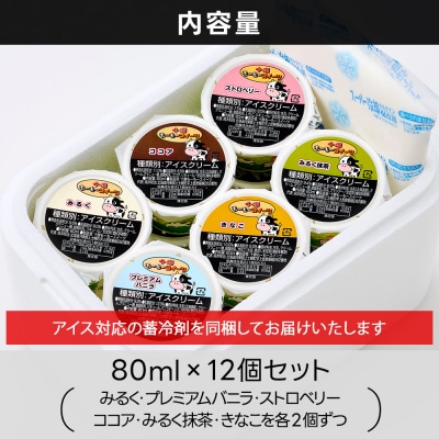 十勝もーもースイーツ ファミリー アイス 6種セット 計12個 北海道 アイスクリーム スイーツ