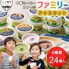 十勝もーもースイーツ ファミリーアイス 6種セット 計24個 北海道 アイスクリーム スイーツ