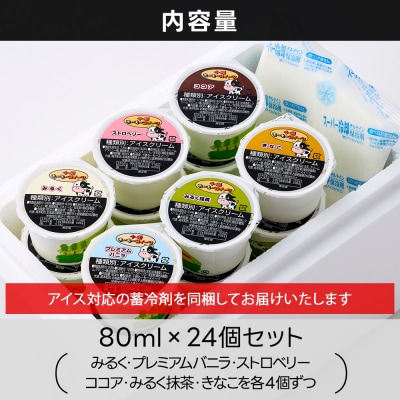 十勝もーもースイーツ ファミリー アイス 6種セット 計24個 北海道 アイスクリーム スイーツ