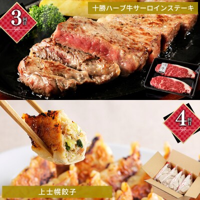 かみしほろ特選 6ヵ月 定期便 Bコース 6回定期便 乳製品 パン ステーキ アイス ハンバーグ等