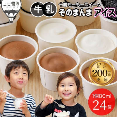 �\�����[���[�X�C�[�c �������̂܂�� �A�C�X �R�R�A 80ml×24�� �k�C�� �A�C�X�~���N