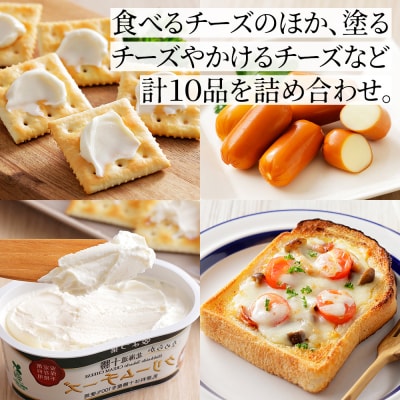 よつ葉 チーズ 詰め合わせ 計10品 北海道 ギフト