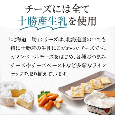 よつ葉 チーズ 詰め合わせ 計10品 北海道 ギフト