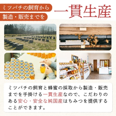 十勝養蜂園 国産 蜂蜜 シナ 500g×2個 はちみつ ハチミツ 純粋 無添加 保存食