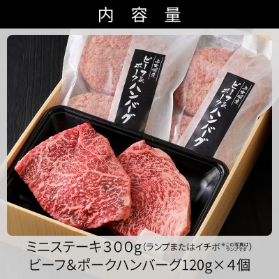 十勝ナイタイ和牛 ミニ ステーキ ハンバーグ セット 計780g 北海道産 5・4等級黒毛和牛