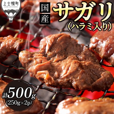 国産 味付き サガリ ハラミ 焼肉 計500g 小分け 個包装 北海道 肉 牛肉