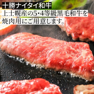 ニークファクトリーの焼肉2種と切り落としの山盛りセット 計2.7kg 北海道産 詰め合わせ