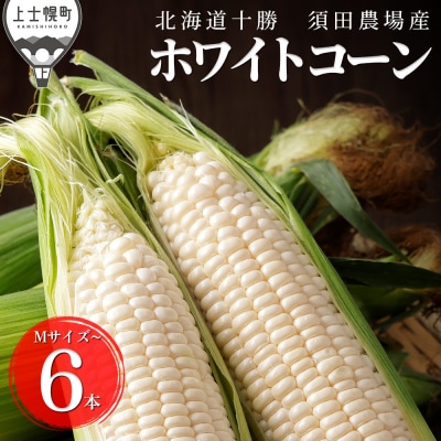 北海道産 ホワイトコーン 計6本 上士幌町 須田農場 野菜 とうもろこし スイートコーン
