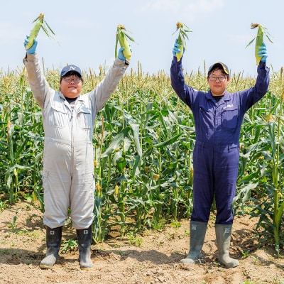 北海道産 ホワイトコーン 計6本 上士幌町 須田農場 野菜 とうもろこし スイートコーン
