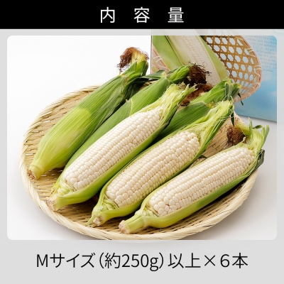 北海道産 ホワイトコーン 計6本 上士幌町 須田農場 野菜 とうもろこし スイートコーン