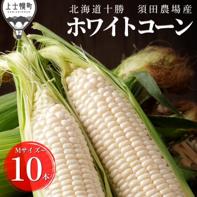 北海道産 ホワイトコーン 計10本 上士幌町 須田農場 野菜 とうもろこし スイートコーン