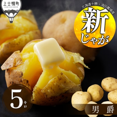 北海道産 新じゃが 男爵 5kg 上士幌町 須田農場 野菜 じゃがいも