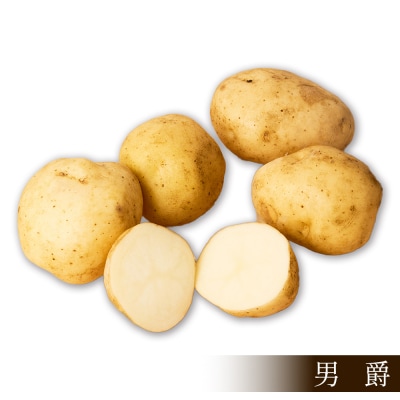 北海道産 新じゃが 男爵 5kg 上士幌町 須田農場 野菜 じゃがいも