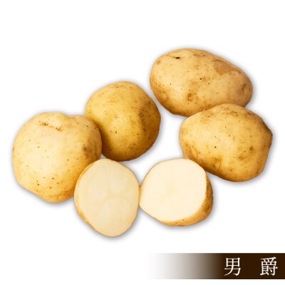 北海道産 新じゃが 男爵 10kg 上士幌町 須田農場 野菜 じゃがいも